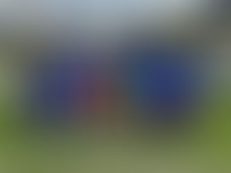 A-Junioren gewinnen das letzte Saisonspiel und steigen auf.