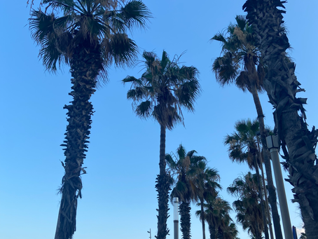 Sophia L.: First impressions of Barcelona ☀️