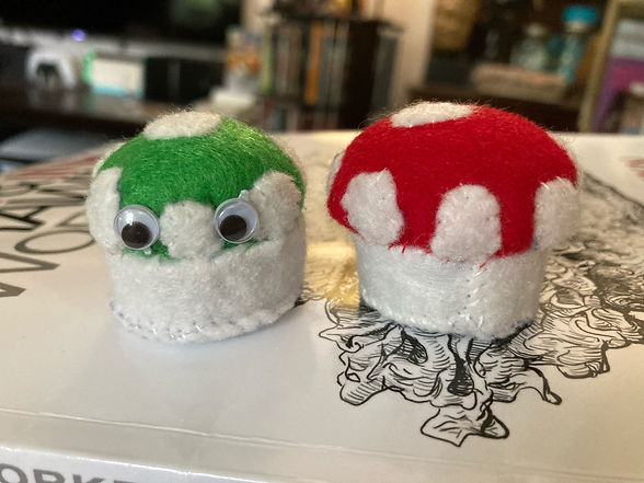 ZRmushrooms.jpeg