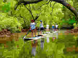 Peaceful paddling with Byron Stand Up Paddle