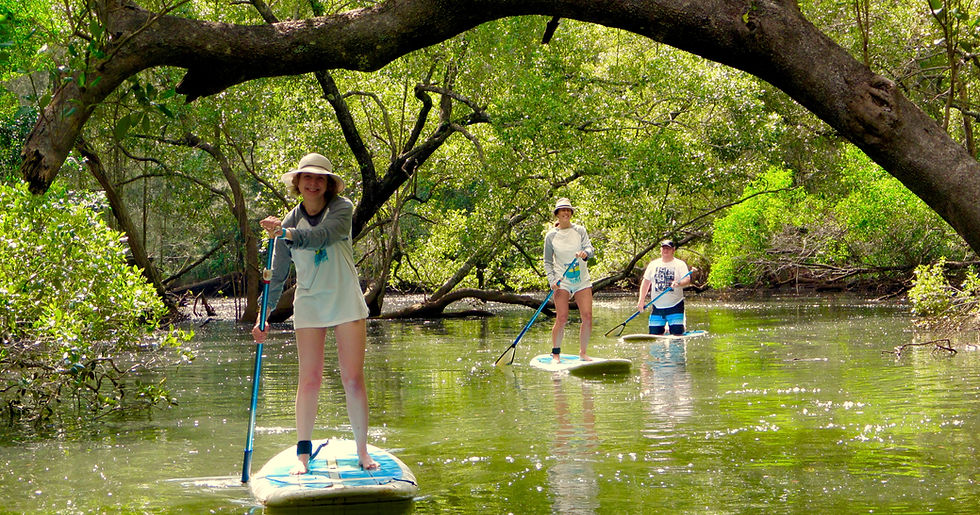 Byron Stand Up Paddle Nature Tour reflections