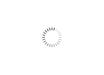 preloader.gif
