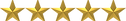 5 stars.png