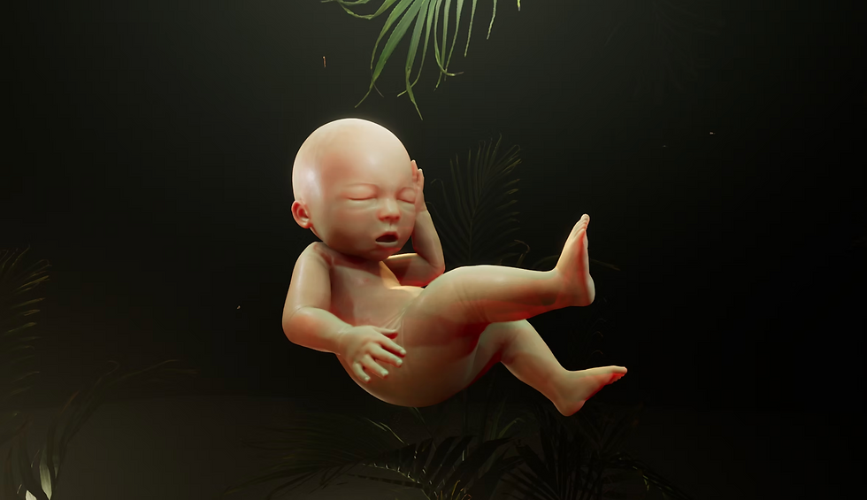 Screenshot 2025-07-27 at 12.08.13.png