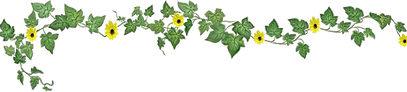 Ivy_Banner.png
