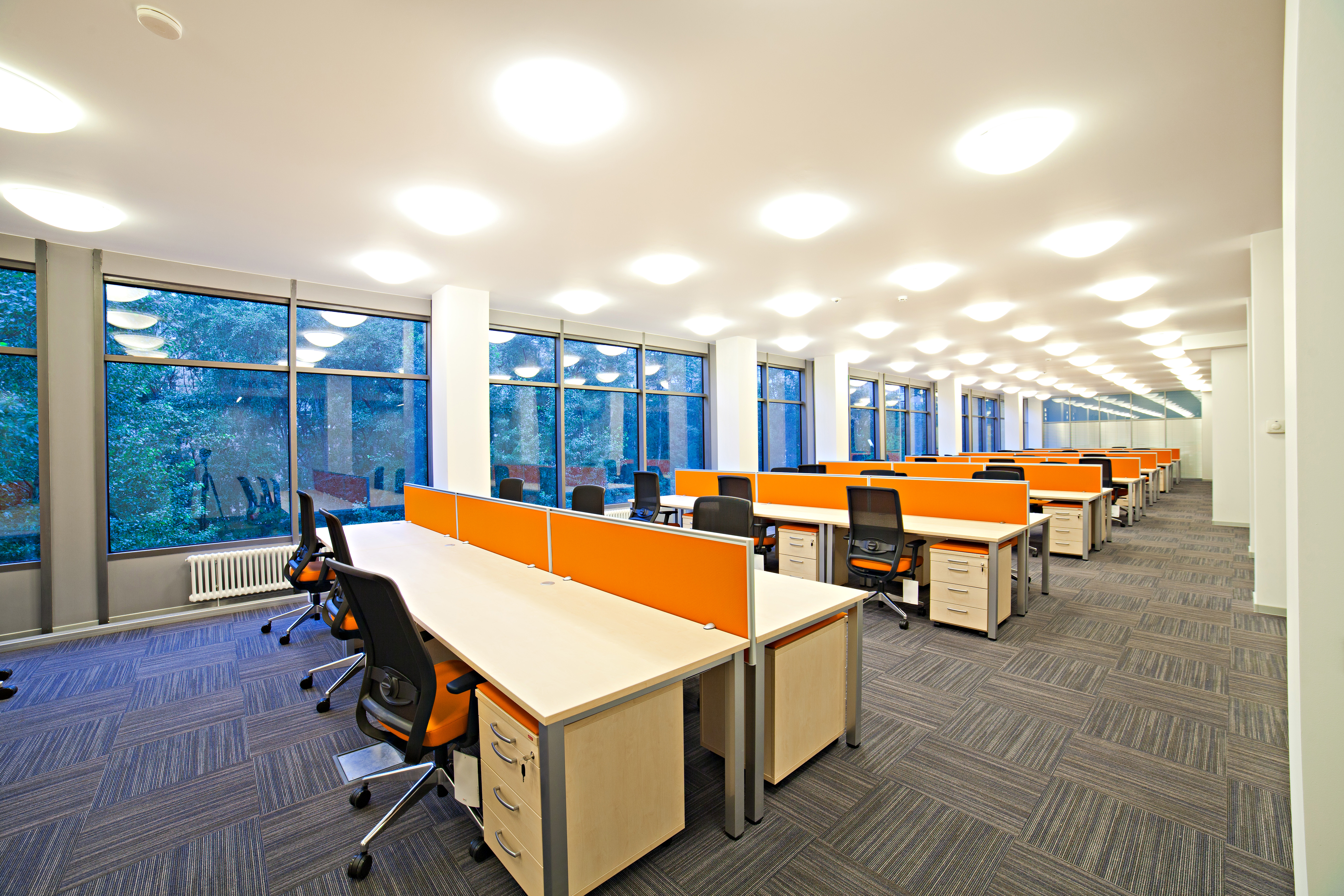 школа внешней среды. основные принципы школы социальных систем. школа открытой системы. школа социальных систем характеристика. школа открытой системы.