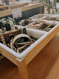 Rainforest Sensory.jpg