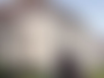 Liebe, Eifersucht und Morde