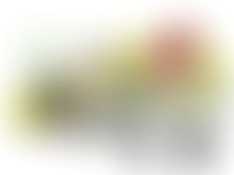 Einsparen statt einsperren?