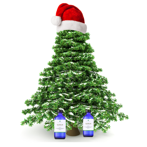 Thumbnail: Fraser Fir