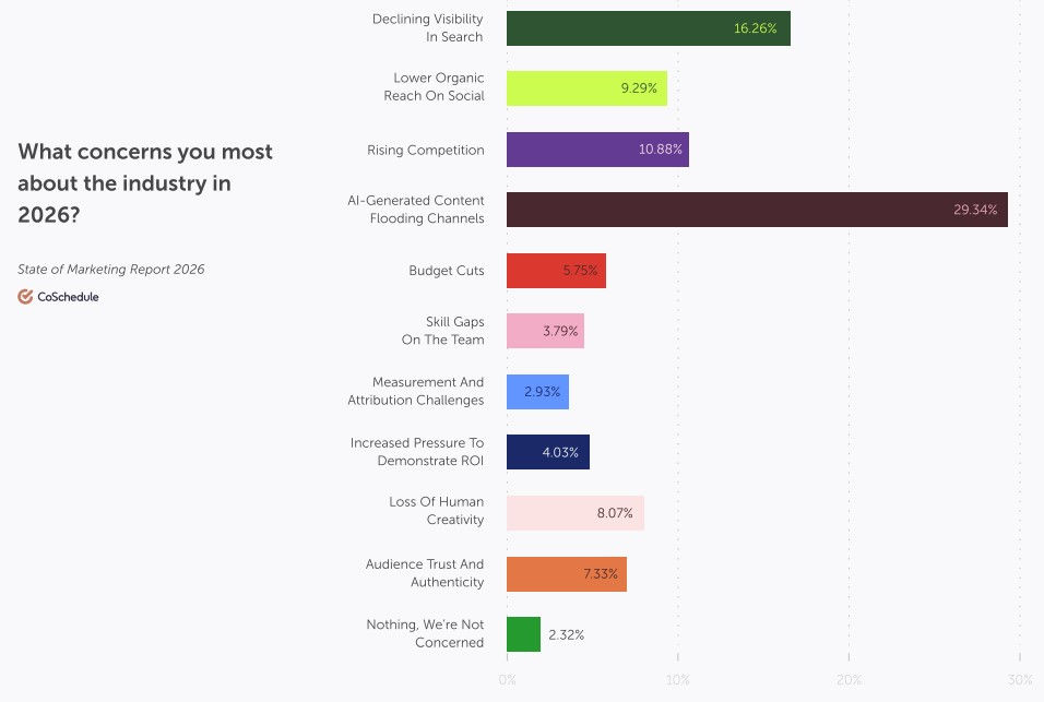 digital marketing industry concerns