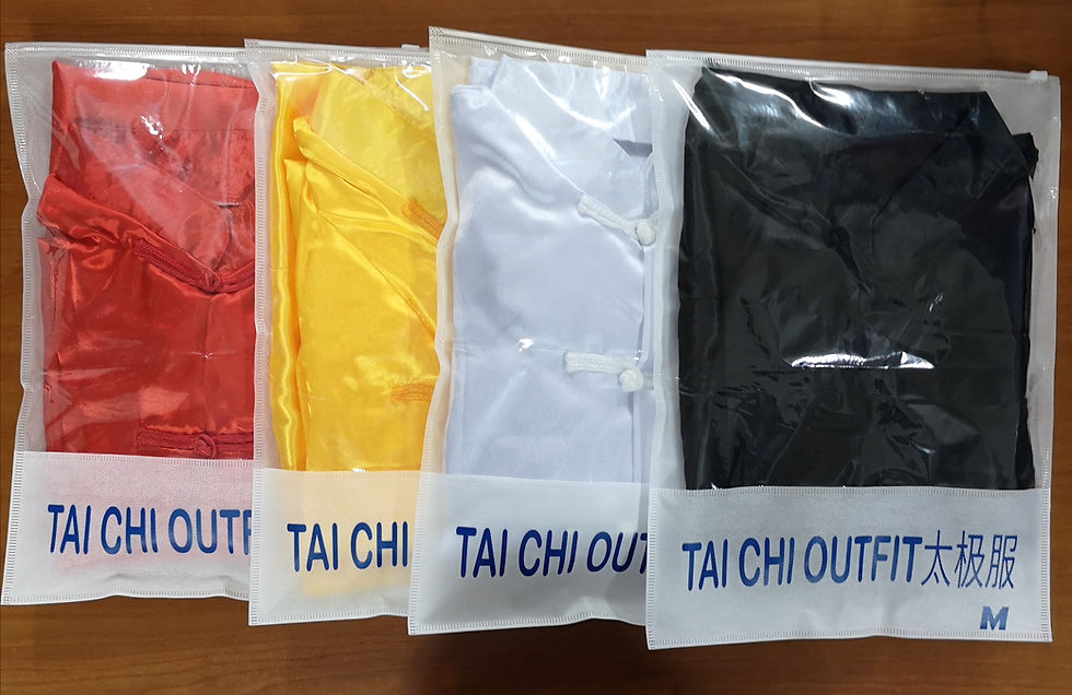 Thumbnail: Tai Chi Outfit 太极服
