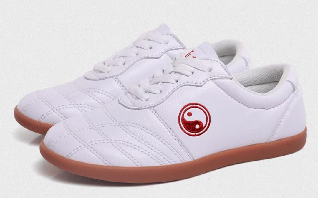 Tai Chi Shoes Leather