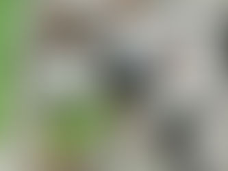 INÊS JOÃO E JOANA JOÃO, SACA TRILHOS ANADIA, DOMINARAM O “TROFÉU DE TRAIL TERRAS DE ÁGUEDA”.