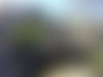 SACA TRILHOS ANADIA – PR2 -PIÓDÃO