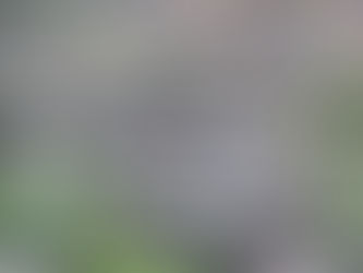 SACA TRILHOS NA ALDEIA MÁGICA DE DRAVE