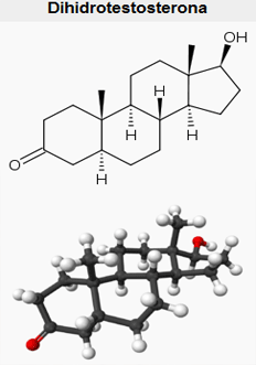 La DHT Dihidrotestosterona