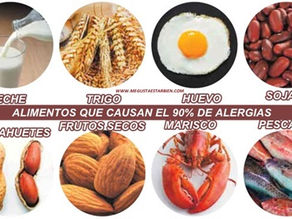 Intolerancias alimenticias