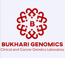 BGL Logo.PNG