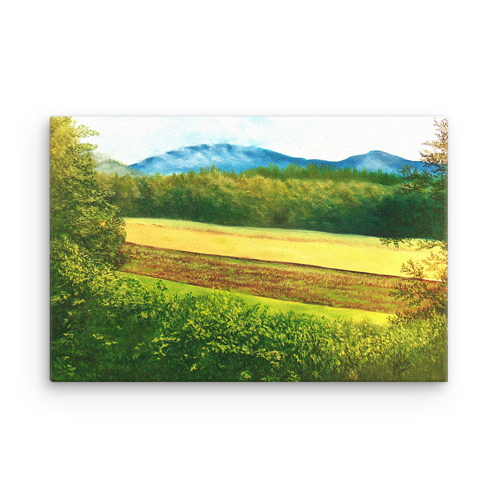 Potato Farm, Maine ~ Canvas Print