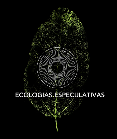 Captura de Tela 2025-10-10 às 4.48.21 PM.png