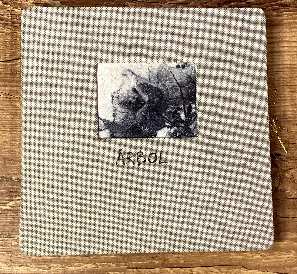 Book 15b - Margara De Haene sent to Liisa Malkamo