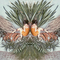 Barbour_Andrea_Foto2g