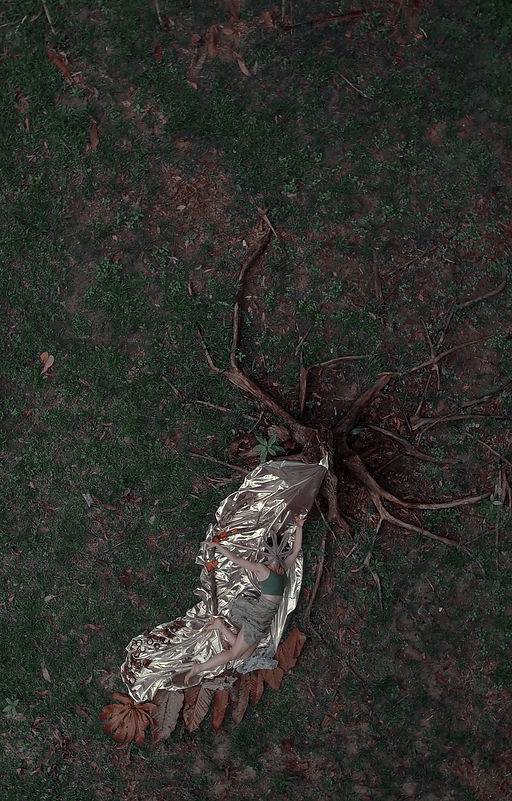 placenta de seiva.jpg