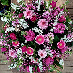 WhatsApp Image 2026-02-17 at 15.02.10.jpeg