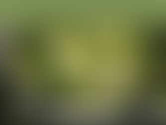 Encouragement Nugget - Facing New Seasons!