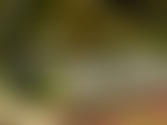 Day 11 - Birthday Month Celebration!