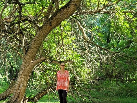 CHRONICLES FROM THE PORCH!