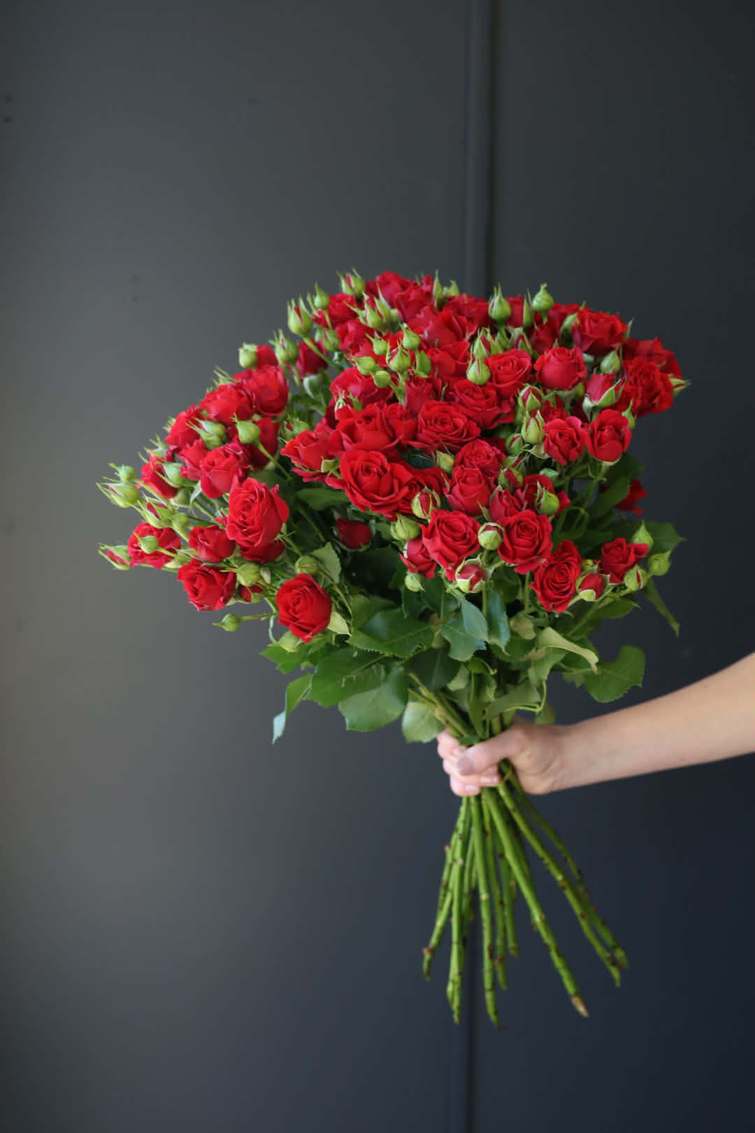 Червона кущова троянда замовити в Вишгороді з доставкою