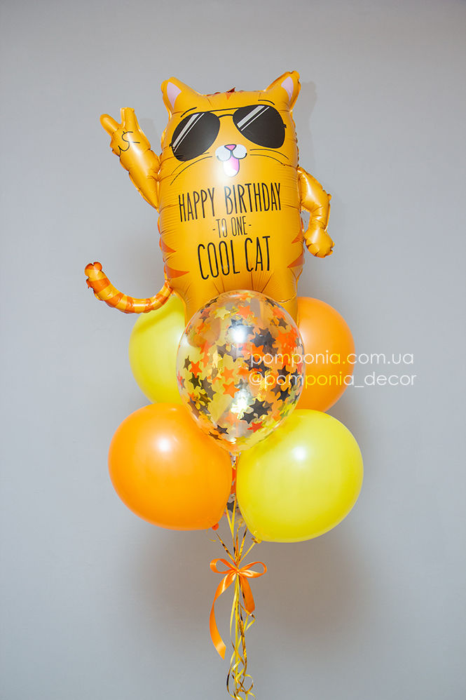 Thumbnail: Набір "Помаранчевий кіт в окулярах"