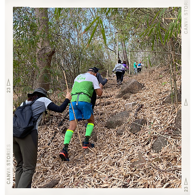 Xem từ điển 6  5.000 blur (1).png