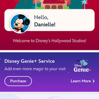 New Lightning Lane Passes Replace Disney Genie+ Service