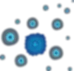 OD Cells.webp