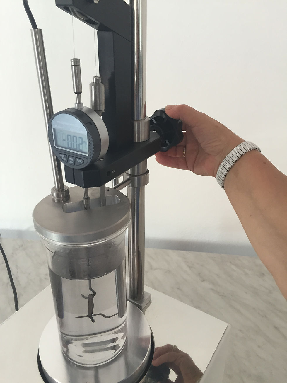 Miniatura: Contrazione Pelli Digital Leather SHRINKAGE (TG)