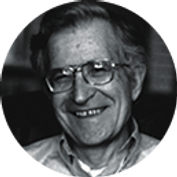 noam.png