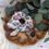 Thumbnail: Zooni- Scrunchie