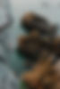 pexels-ngo-tien-quyen-338727117-17274620.jpg