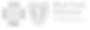3_edited.png