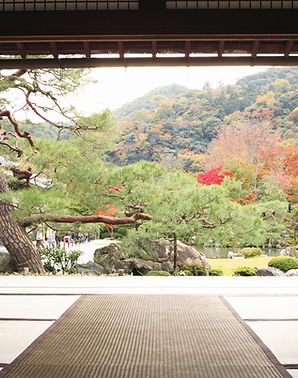 Traditional Japanese Interior_edited.jpg