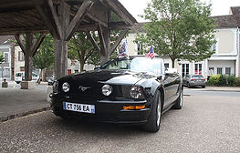 IMG_0041.JPG
