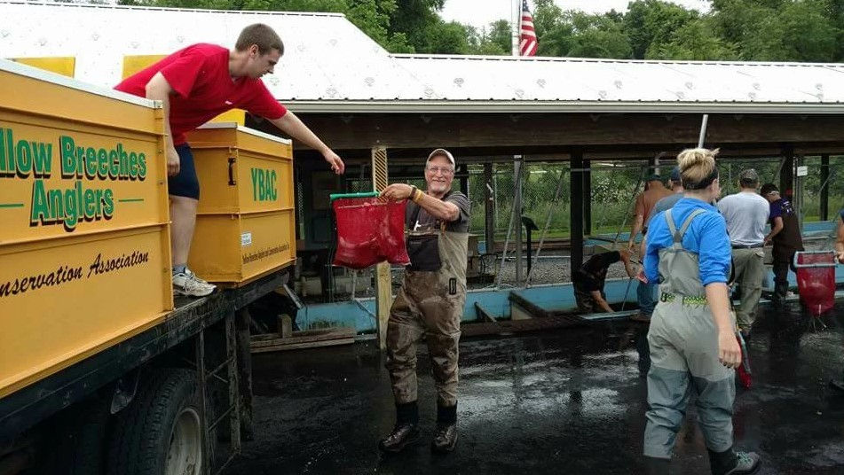 stocking-daythe-yellow-breeches-anglers-and-conservation-association