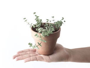 Cles: Scoprire le emozioni!