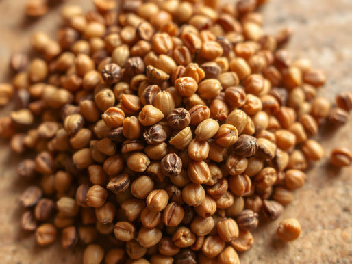A Harvest at Risk: Inside India’s 25% Counterfeit Seed Market