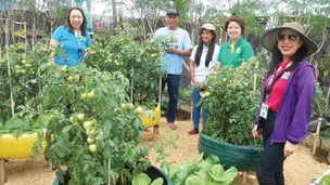 Ramgo celebrates 50 years of innovation with bestseller showcase