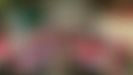 SAKADAB Members Now Certified in Dressmaking