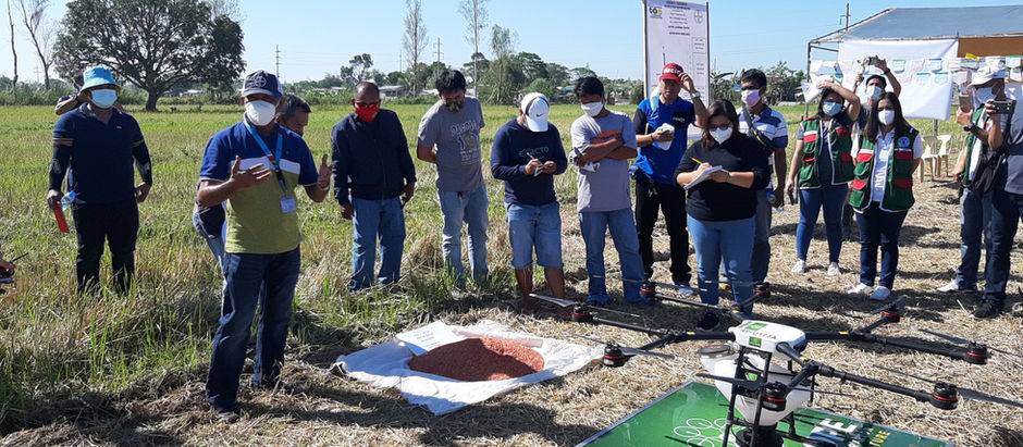 AI-driven drone revolutionizes PH rice farming with Bayer demo in Tarlac